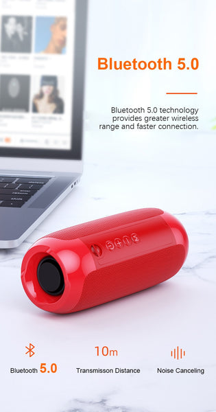 Portable Bluetooth Speaker 20w